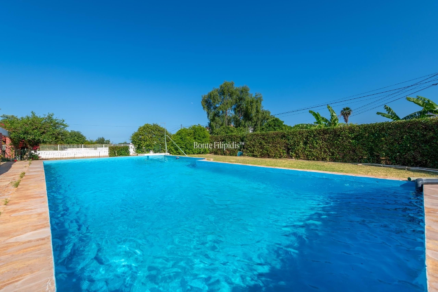  à venda quinta Tavira Tavira 8