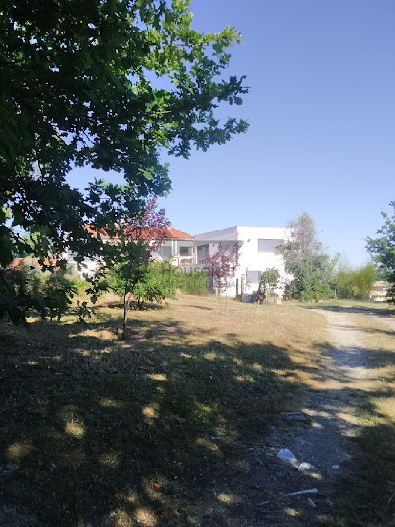  à venda quinta Travanca de Lagos Oliveira Do Hospital 4