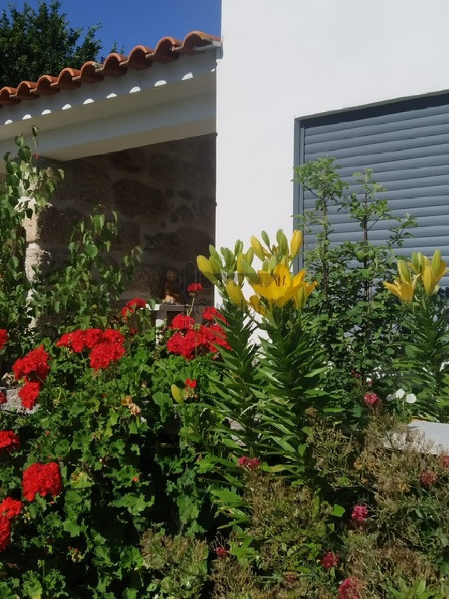  à venda quinta Travanca de Lagos Oliveira Do Hospital 7