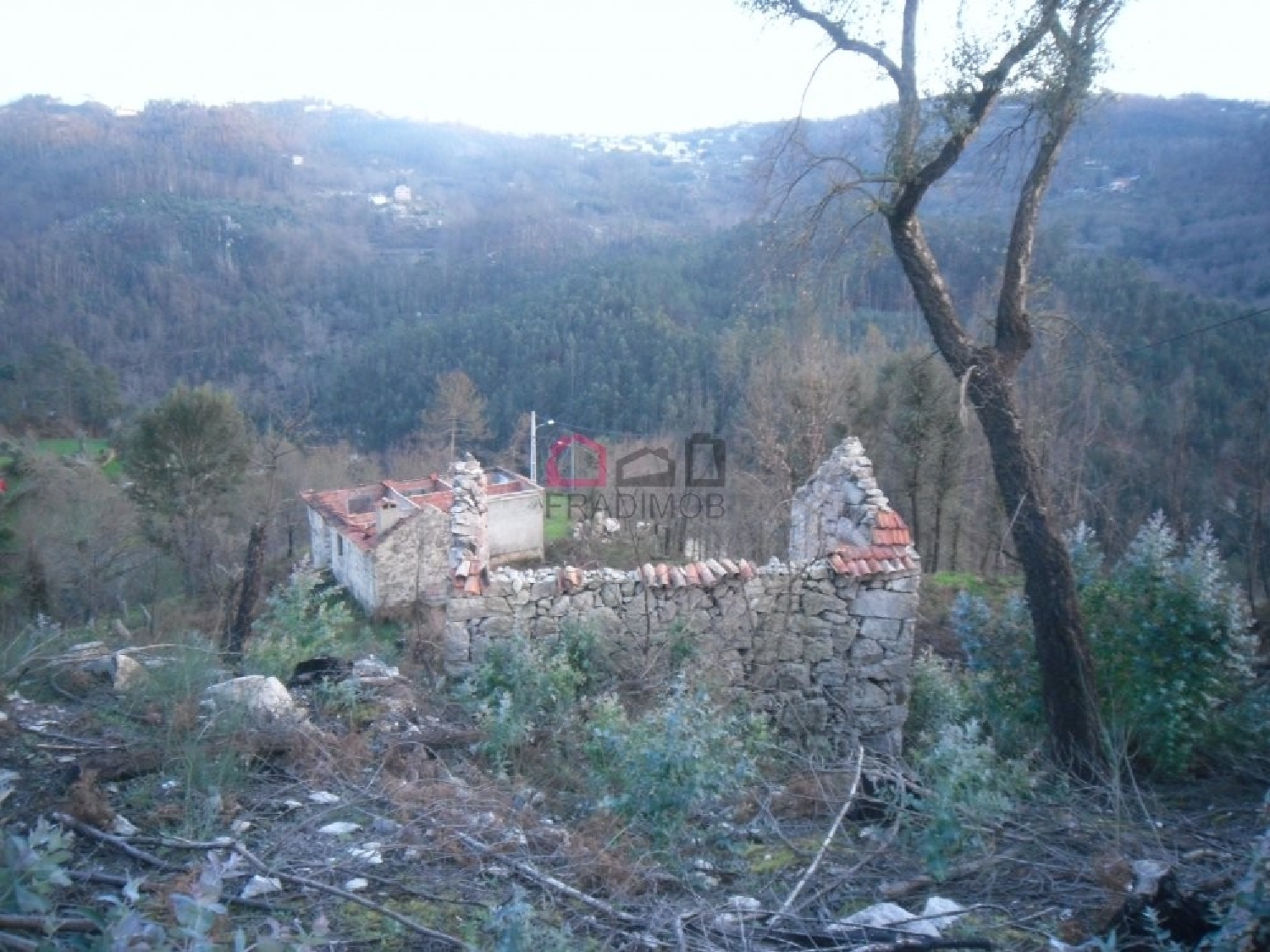  te koop boerderij Valadares São Pedro Do Sul 7