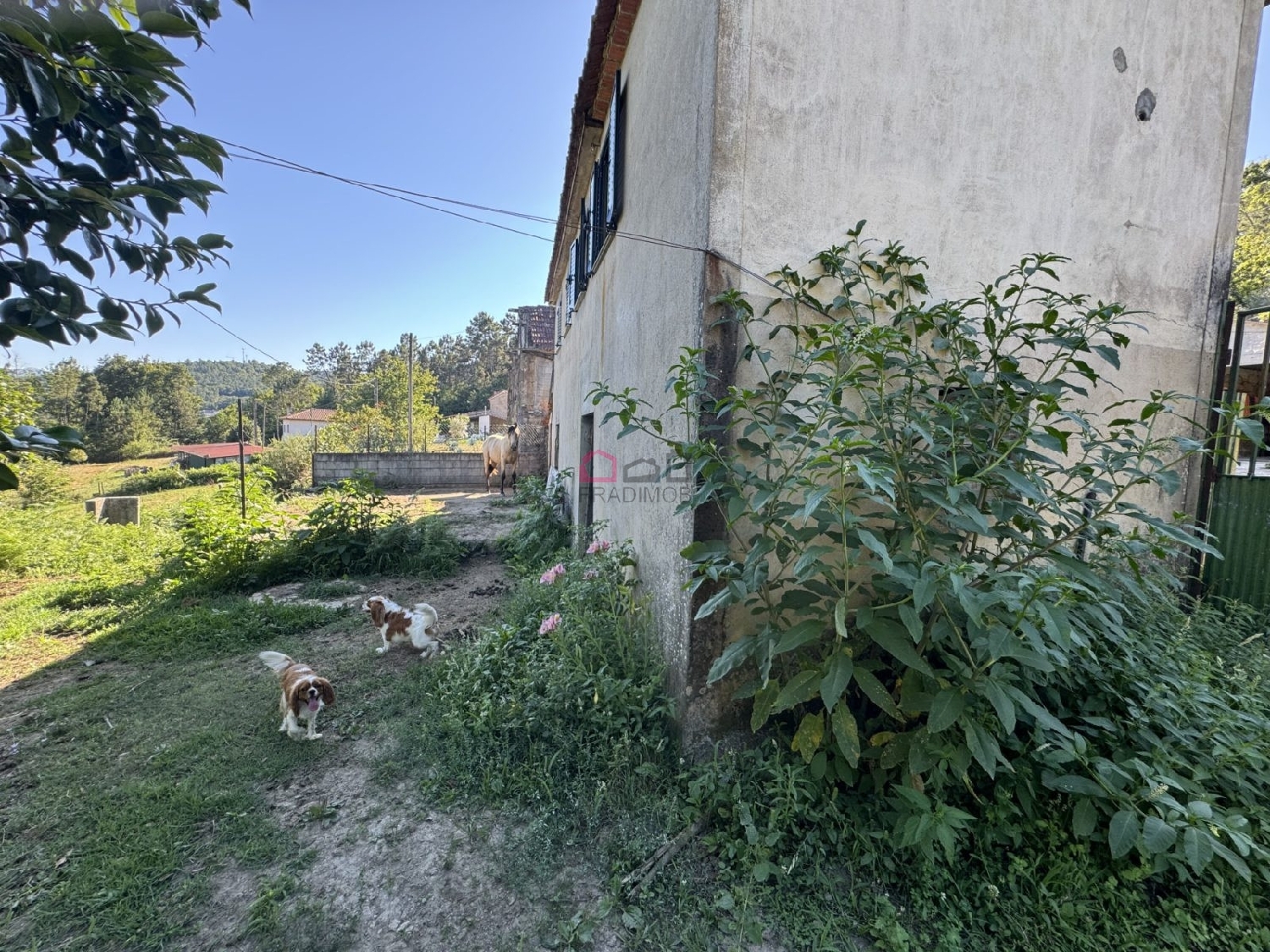  kaufen Bauernhof Várzea Cinfães 5