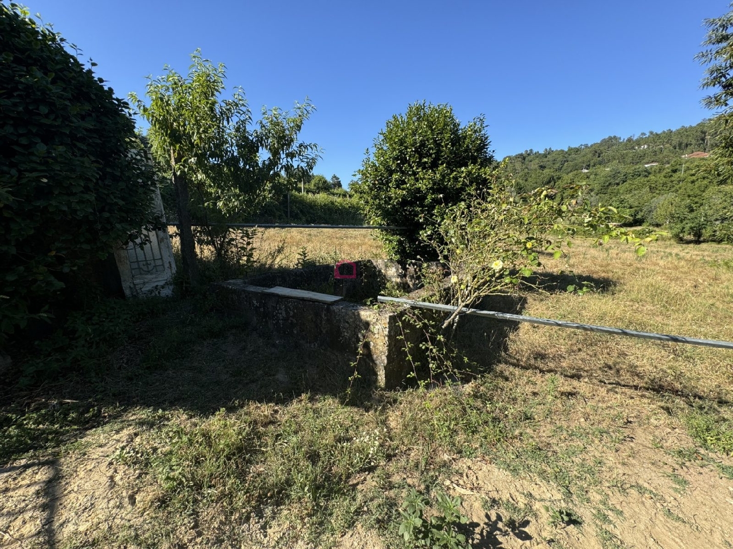  kaufen Bauernhof Várzea Cinfães 6