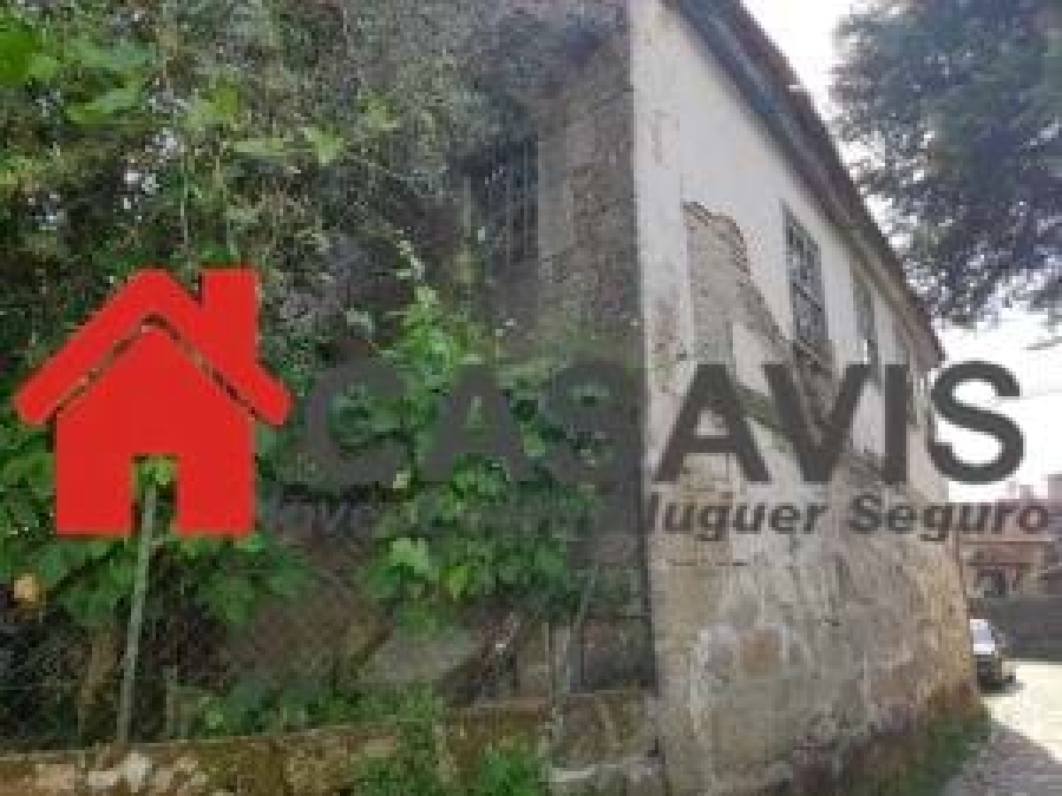  à venda quinta Vouzela Vouzela 1
