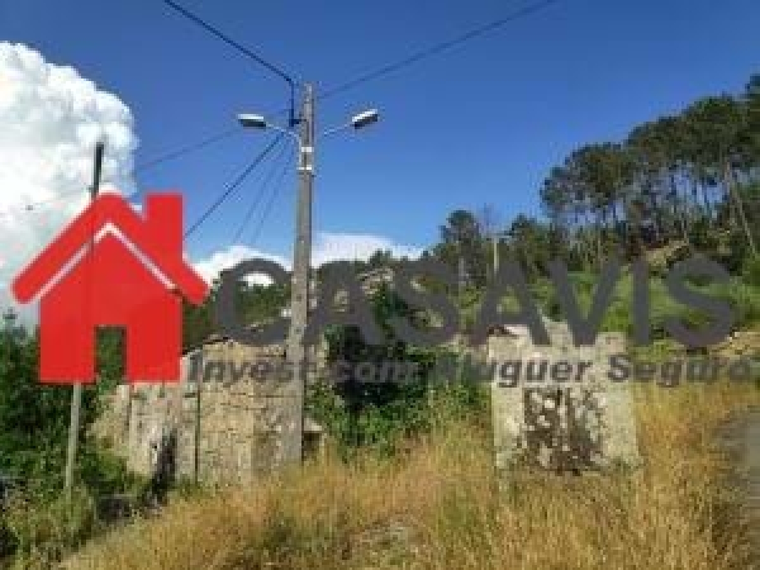  à venda quinta Vouzela Vouzela 7