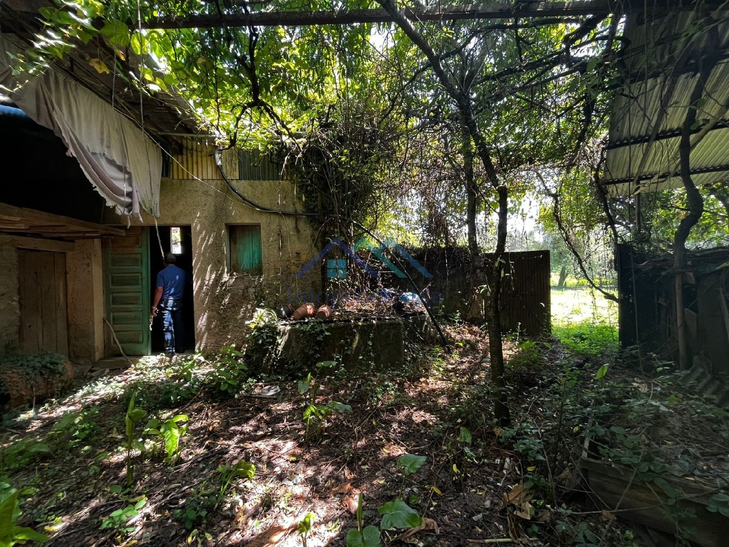  te koop huis Águeda Águeda 6