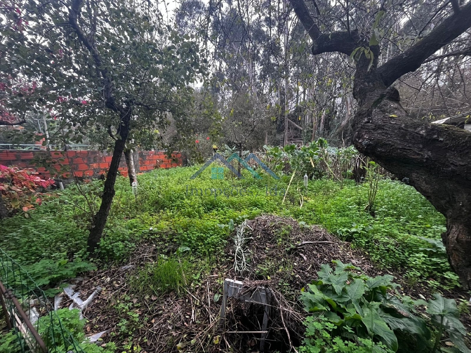  te koop huis Aradas Arouca 5