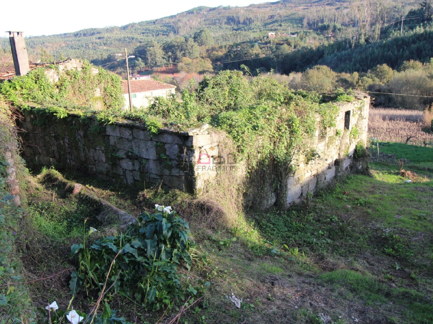 te koop huis Arcozelo das Maias Oliveira De Frades 3