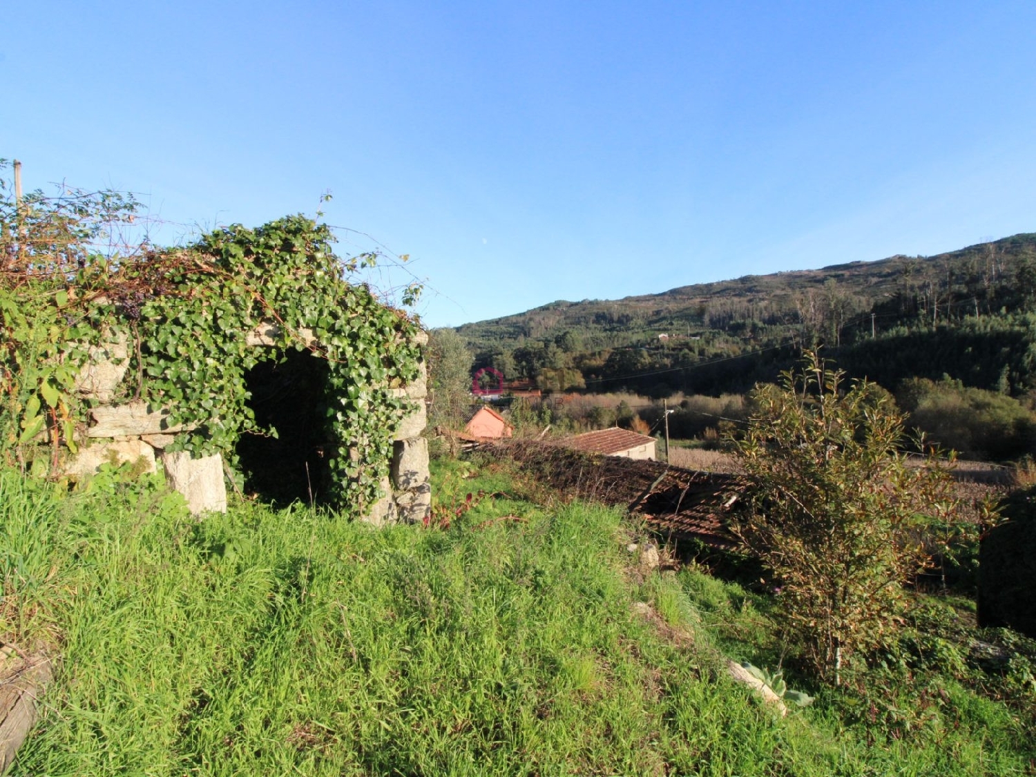 te koop huis Arcozelo das Maias Oliveira De Frades 5
