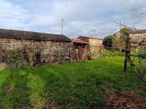Arcozelo das Maias Oliveira De Frades huis foto 335605