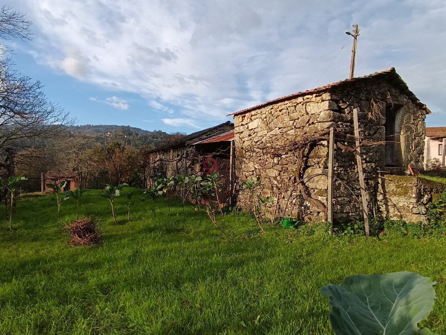 te koop huis Arcozelo das Maias Oliveira De Frades 3