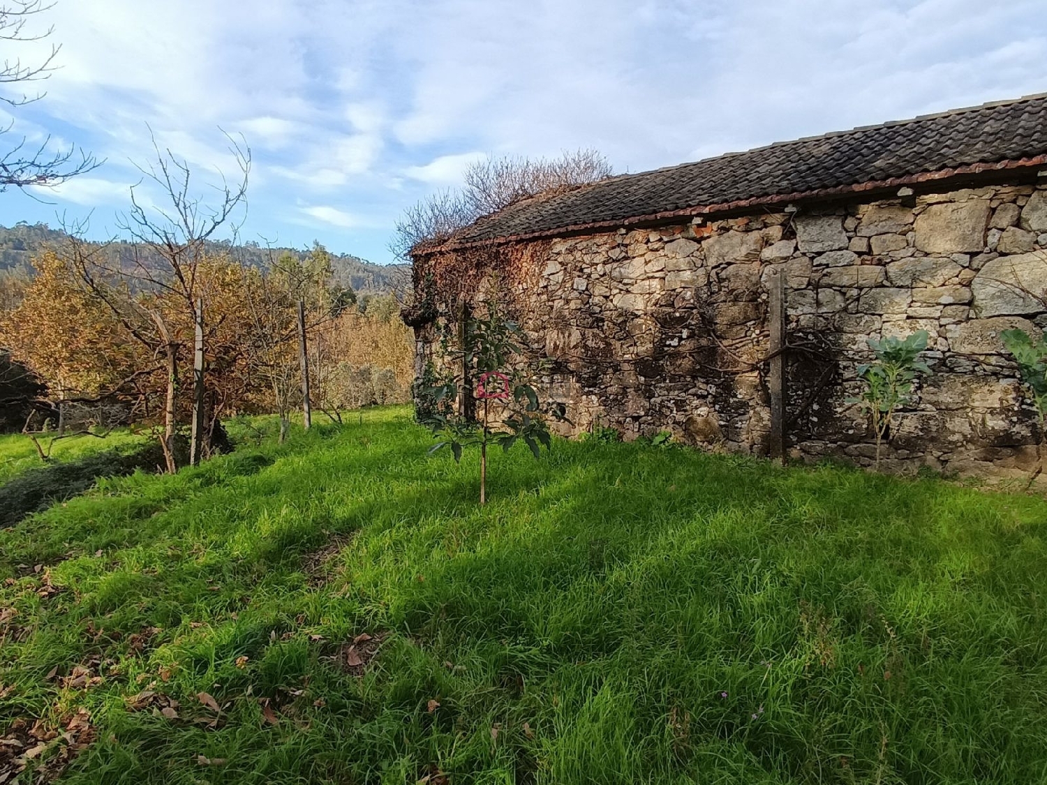 te koop huis Arcozelo das Maias Oliveira De Frades 4