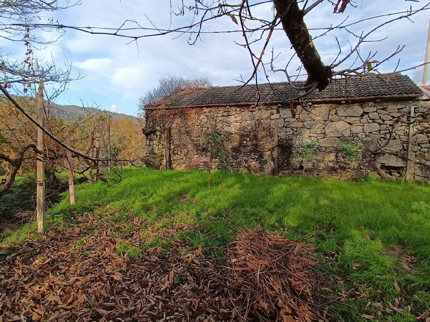  te koop huis Arcozelo das Maias Oliveira De Frades 5