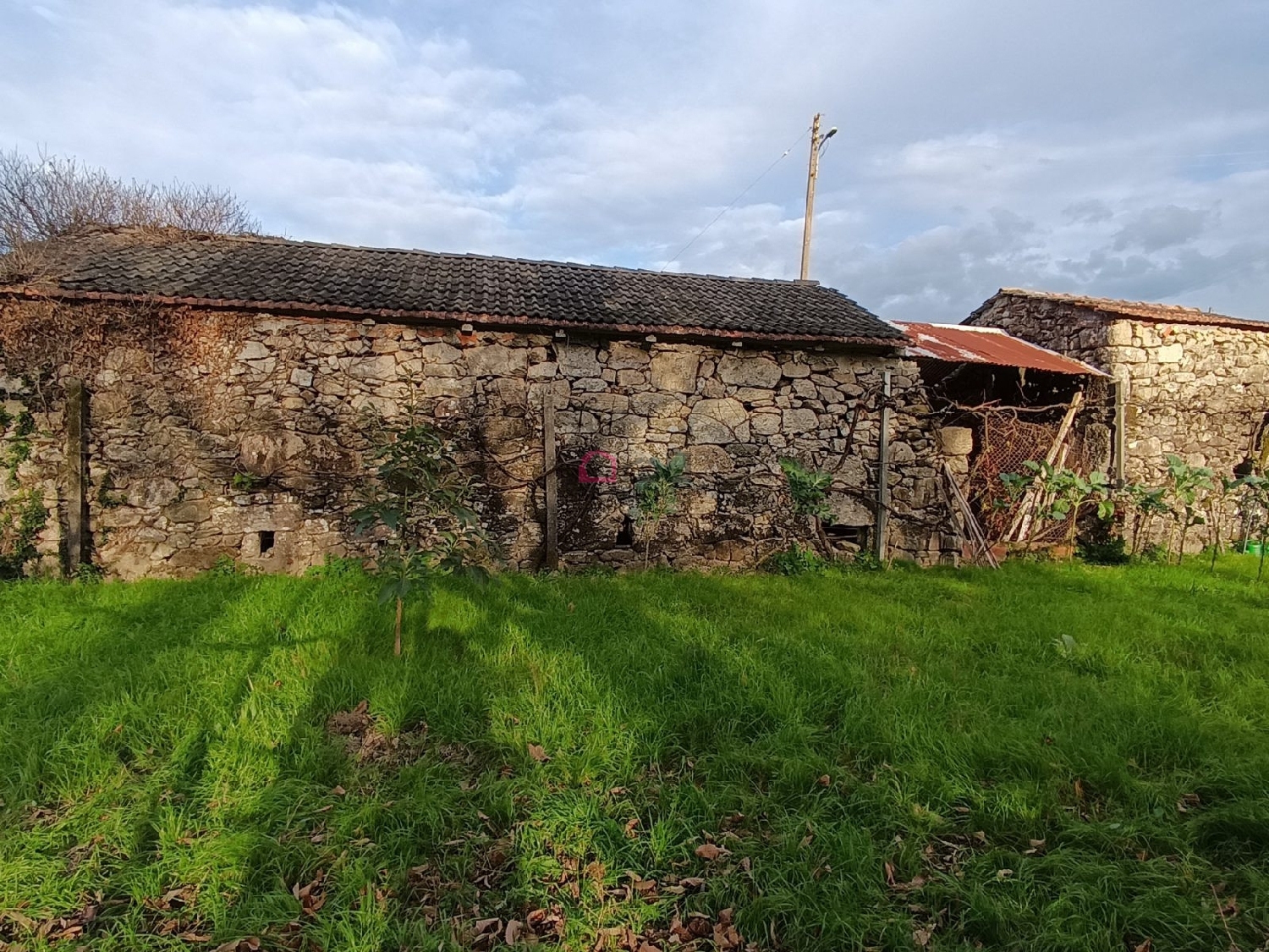  te koop huis Arcozelo das Maias Oliveira De Frades 6