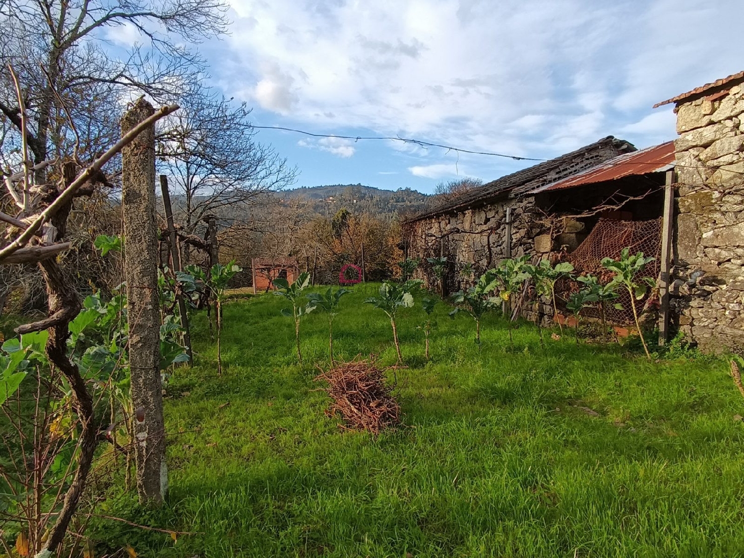  te koop huis Arcozelo das Maias Oliveira De Frades 7
