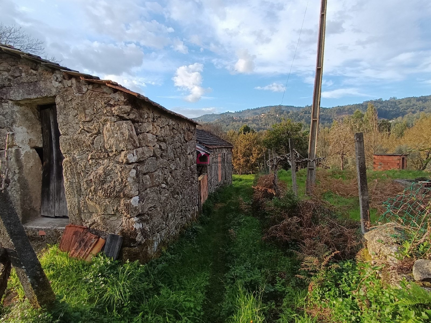  te koop huis Arcozelo das Maias Oliveira De Frades 8