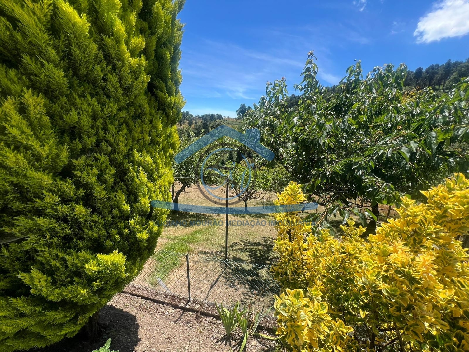  kaufen Haus Campeã Vila Real 7