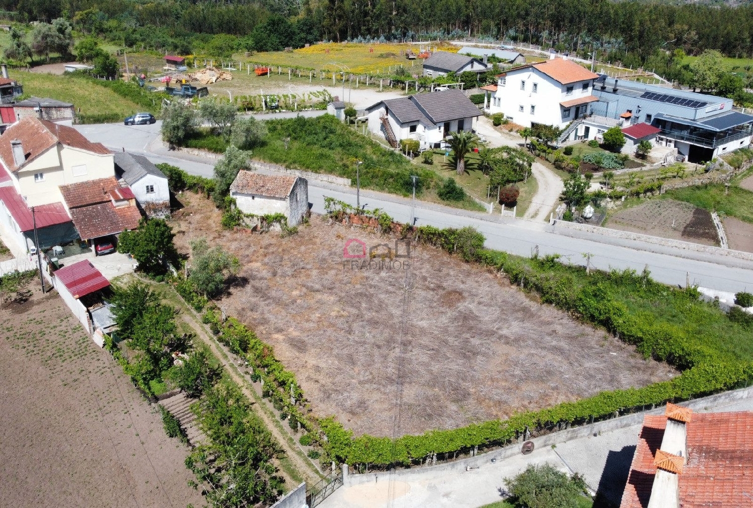  à venda casa Campia Vouzela 6