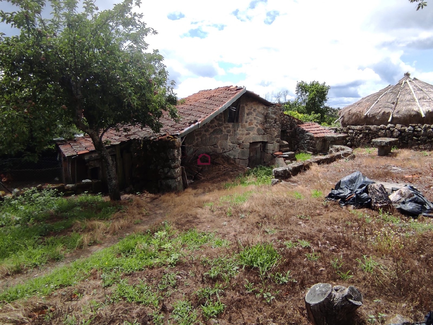  te koop huis Carvalhal Castro Daire 1