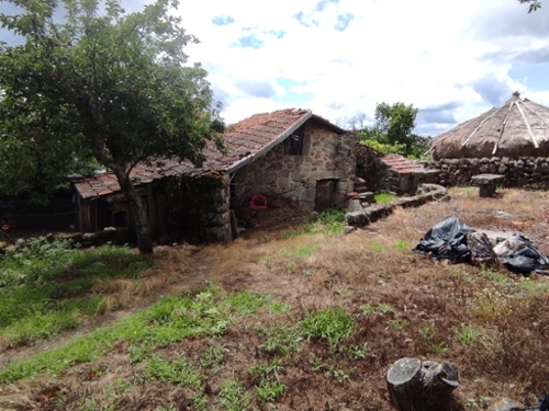 Carvalhal Castro Daire Haus Bild 335500