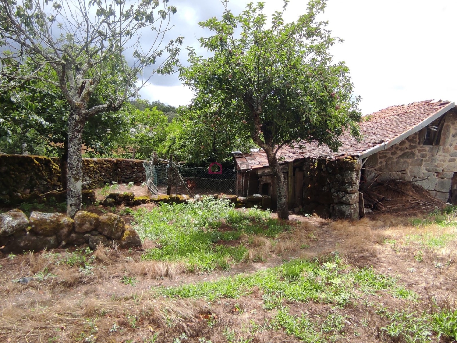 te koop huis Carvalhal Castro Daire 2