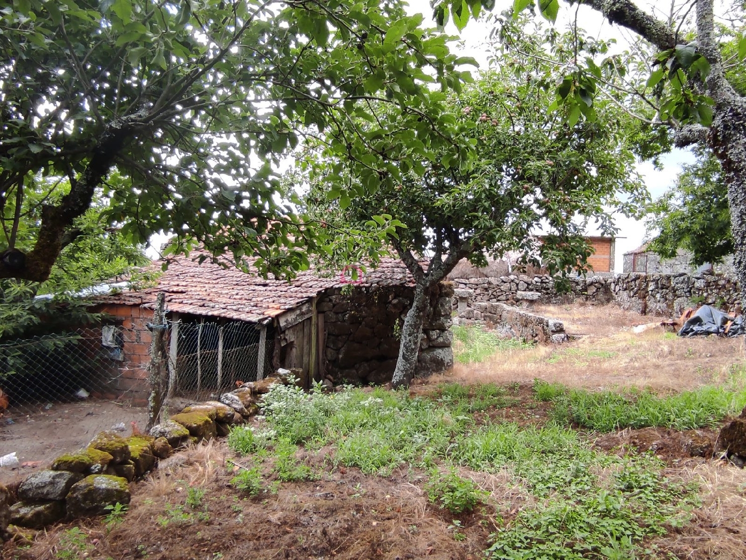  te koop huis Carvalhal Castro Daire 4