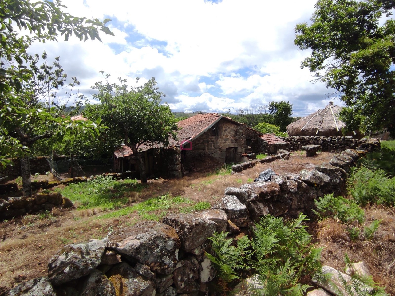  te koop huis Carvalhal Castro Daire 6