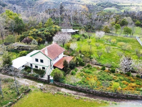 Carvalhal Castro Daire Haus Bild 335507
