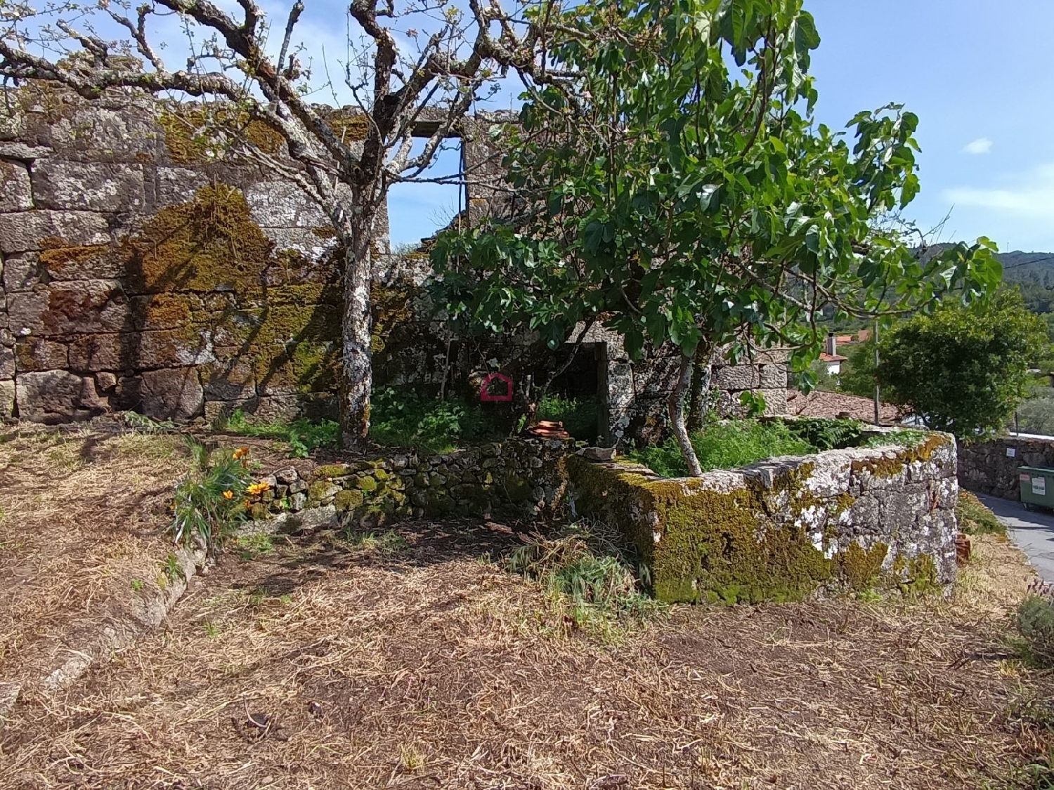  à vendre maison Carvalhal Castro Daire 6