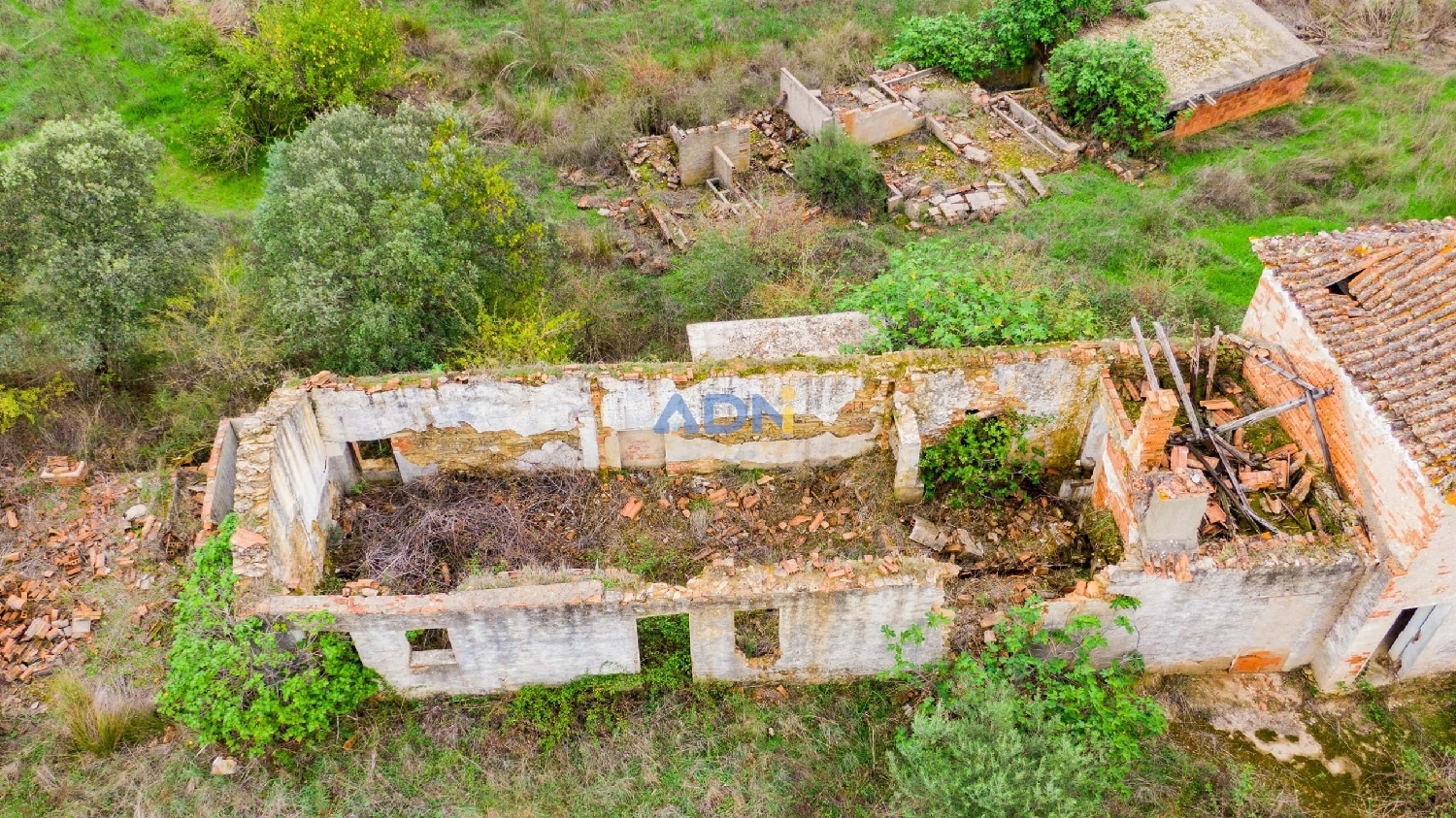  te koop huis Castelo Branco Castelo Branco 3