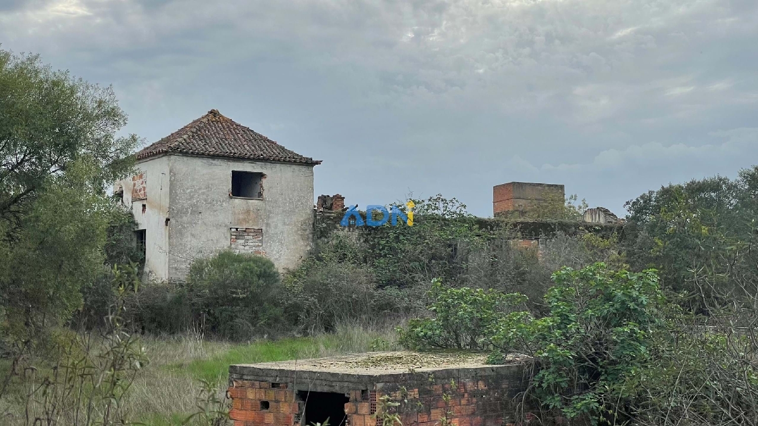 te koop huis Castelo Branco Castelo Branco 5