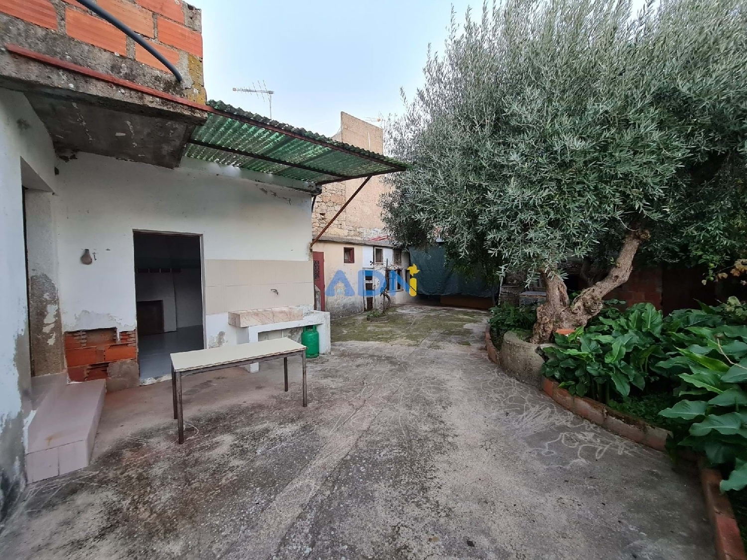 à vendre maison Castelo Branco Castelo Branco 3