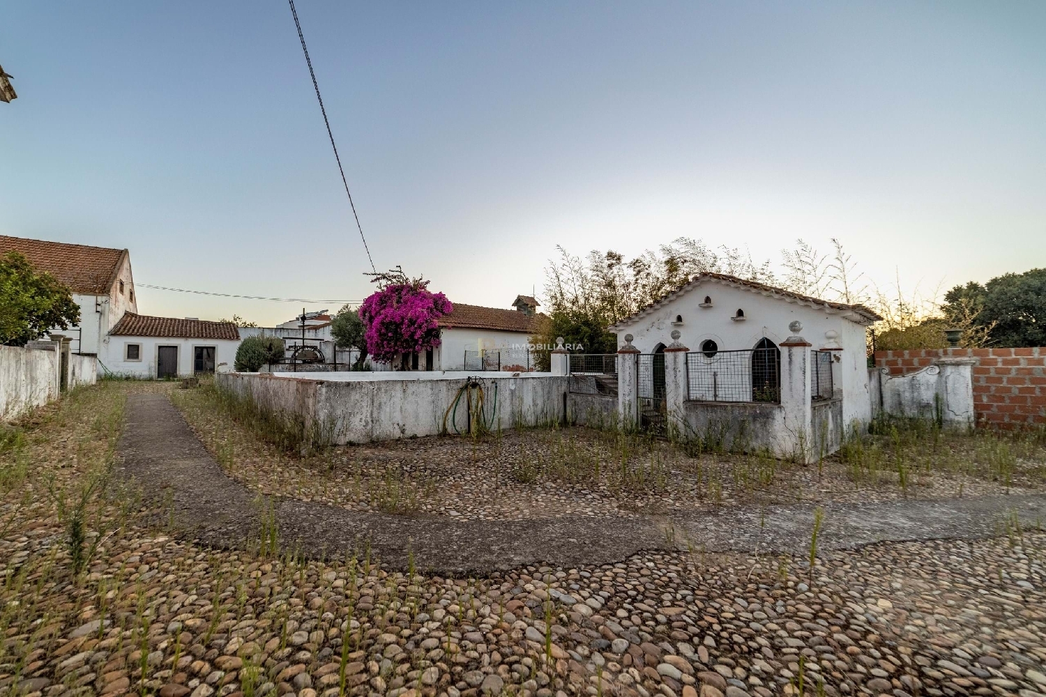  en venta casa Chamusca Chamusca 7