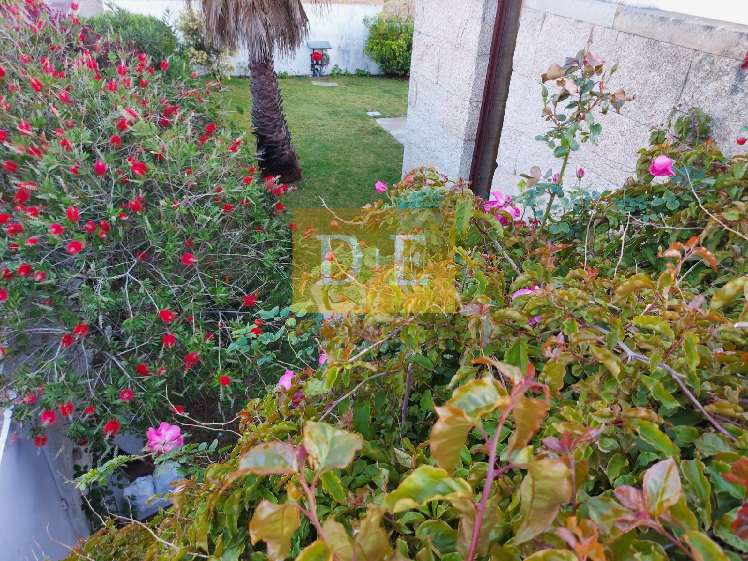  à venda casa Eira Amarante 5
