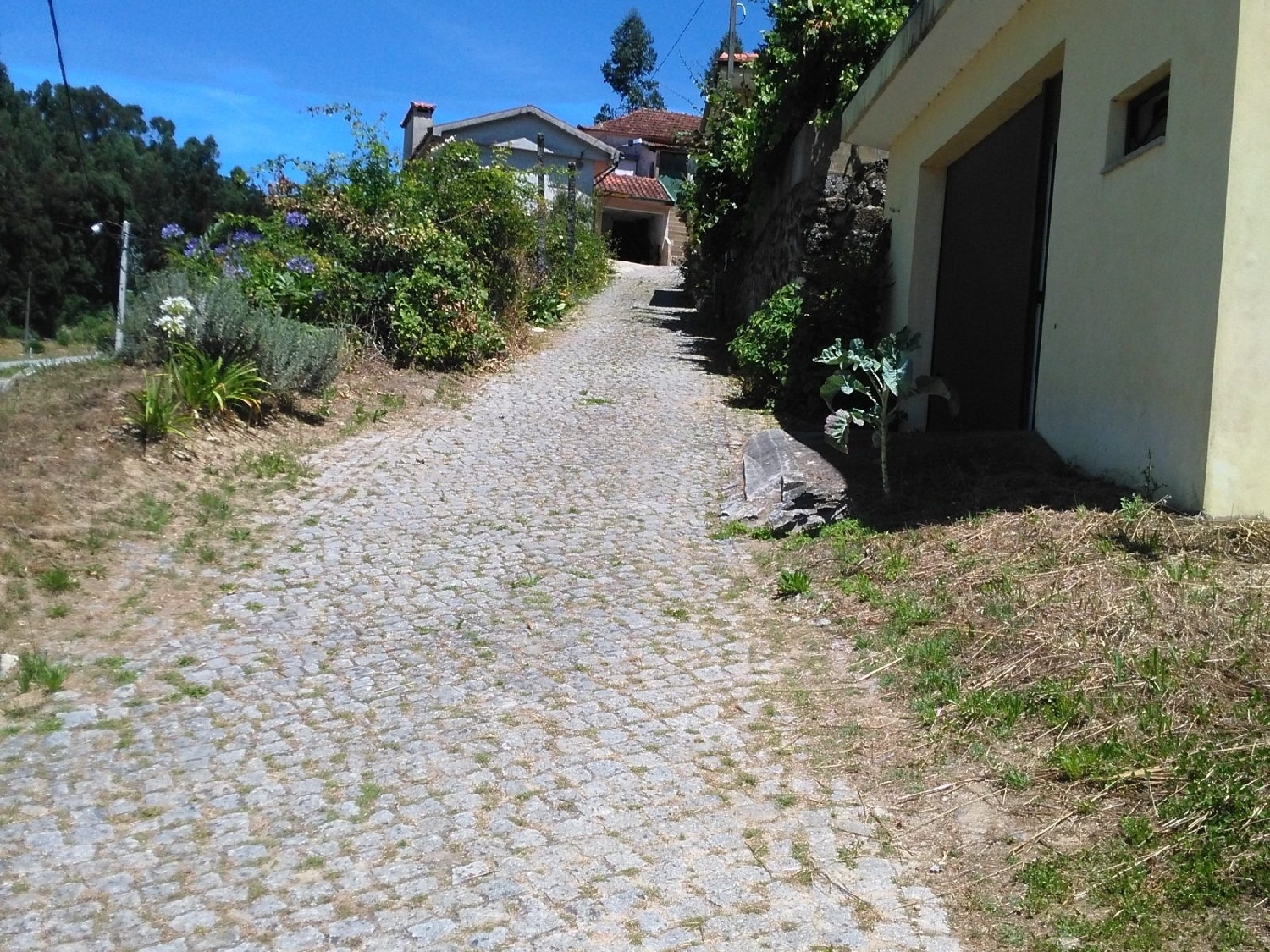 kaufen Haus Eira Amarante 2