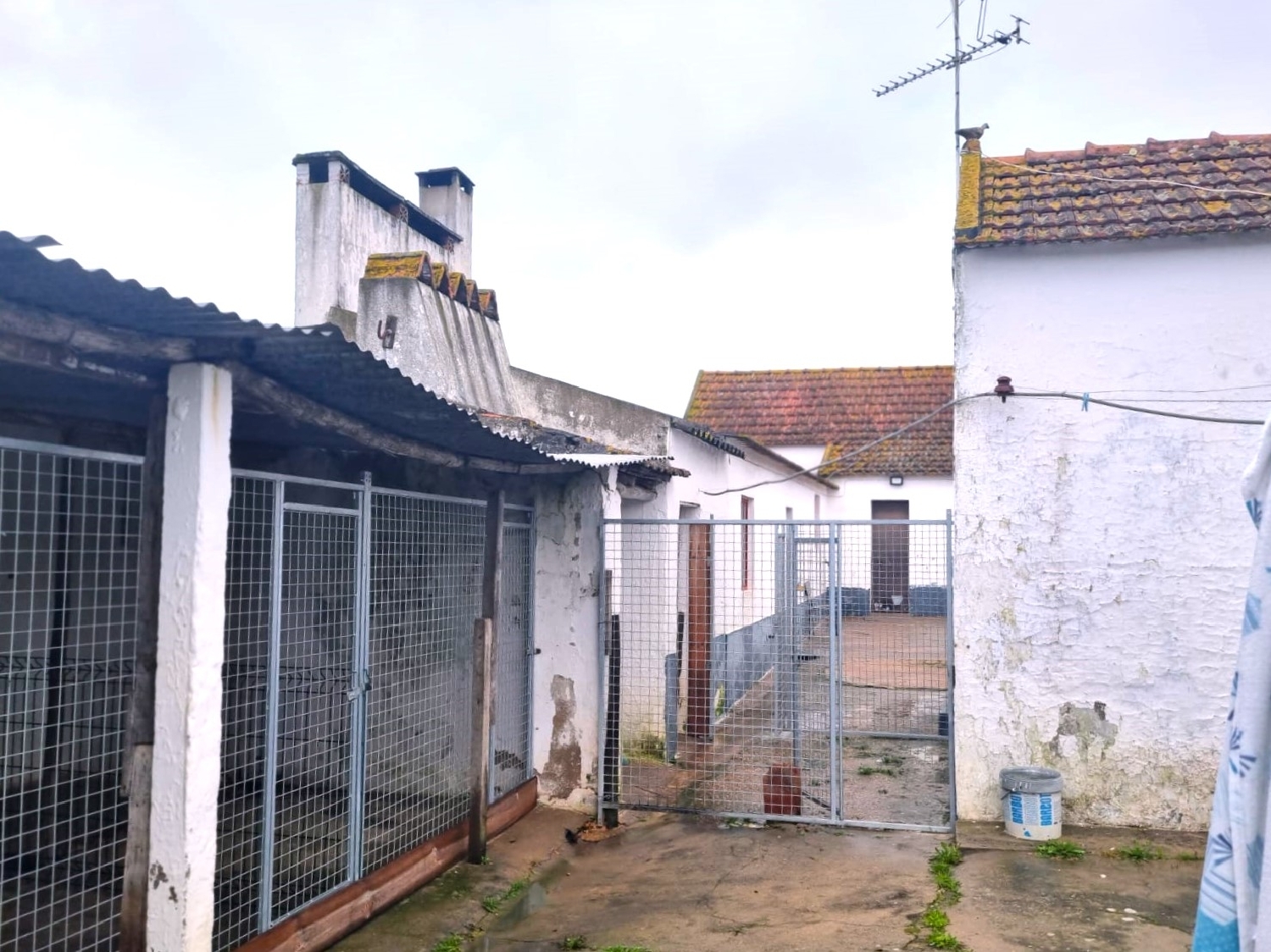  te koop huis Fazendas de Almeirim Almeirim 5