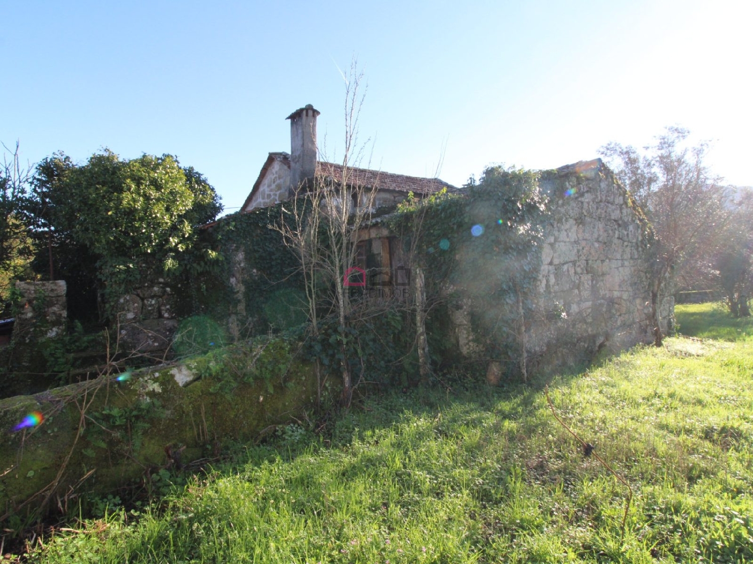  te koop huis Figueiredo Armamar 6