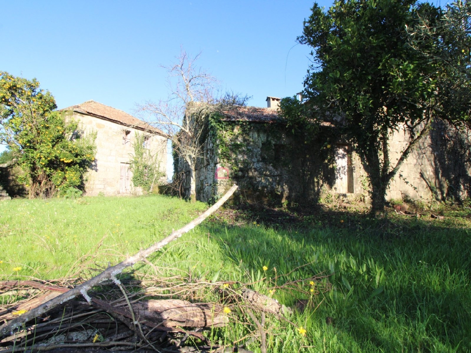  te koop huis Figueiredo Armamar 8