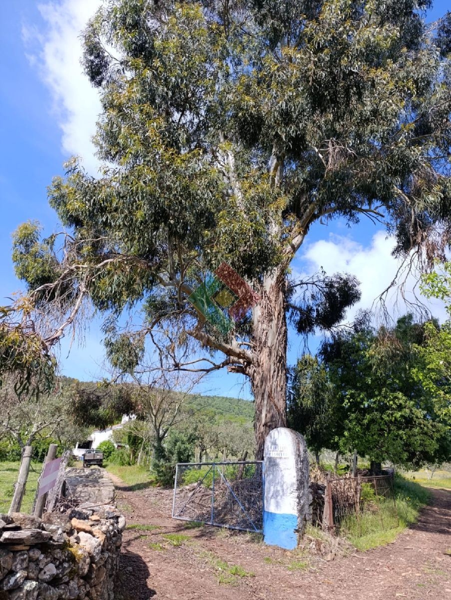  köpa hus Fonte Concelho Marvão 2