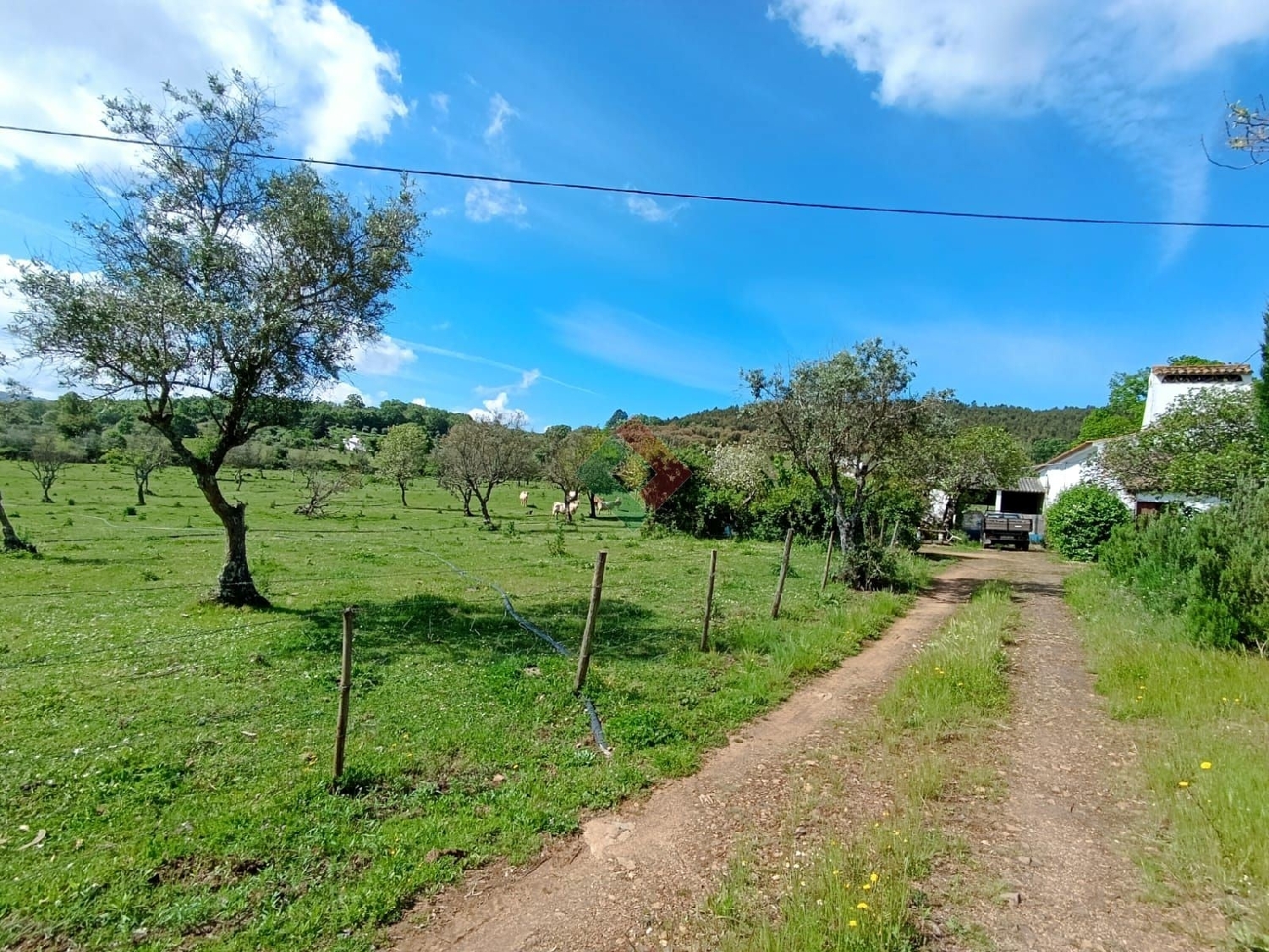  köpa hus Fonte Concelho Marvão 3