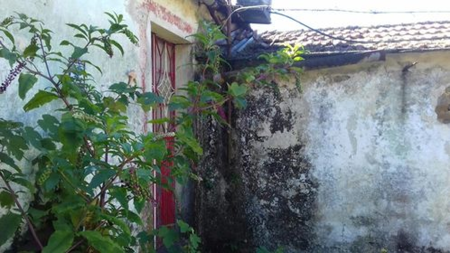  for sale house Gandra Paredes 1
