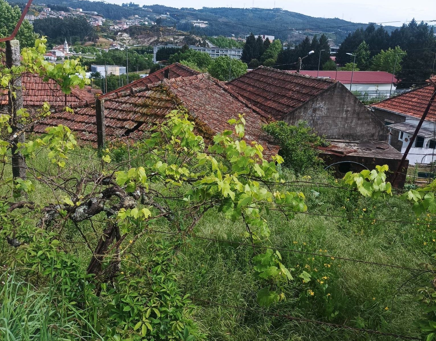 à venda casa Lordelo Felgueiras 3