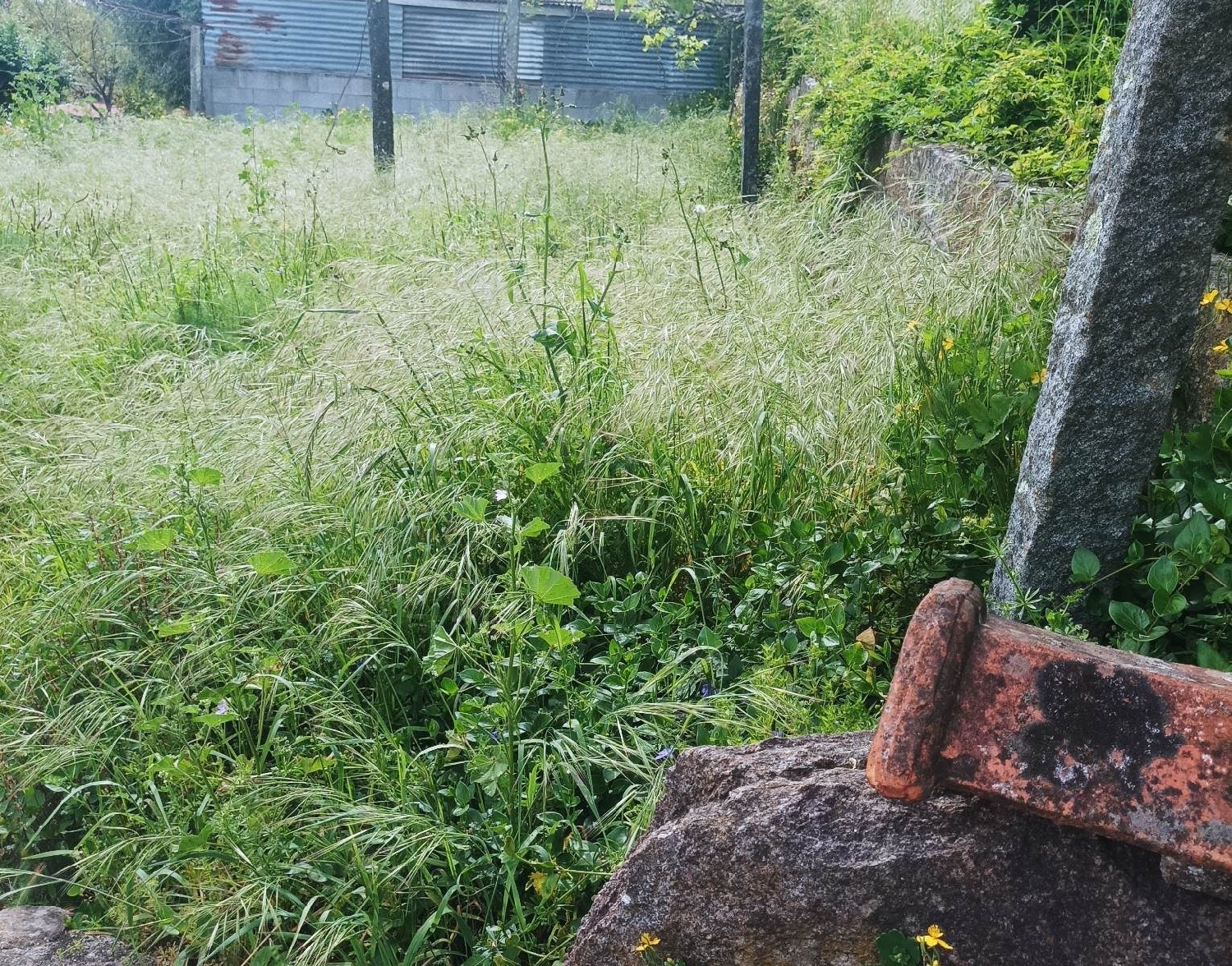  à venda casa Lordelo Felgueiras 4