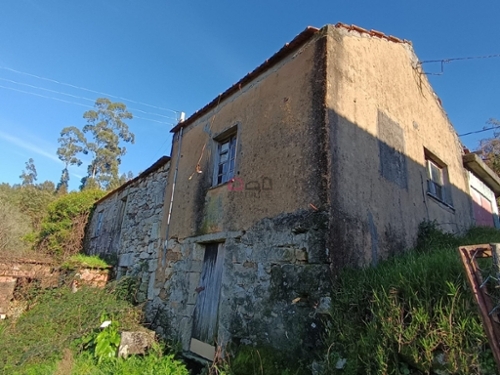 Macieira de Alcoba Águeda casa foto 335541