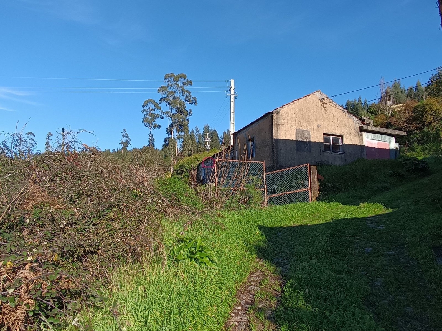  en venta casa Macieira de Alcoba Águeda 7