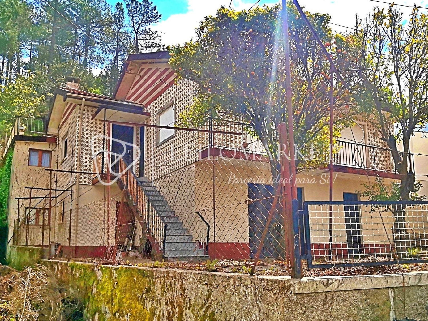  te koop huis Macieira de Cambra Vale De Cambra 1
