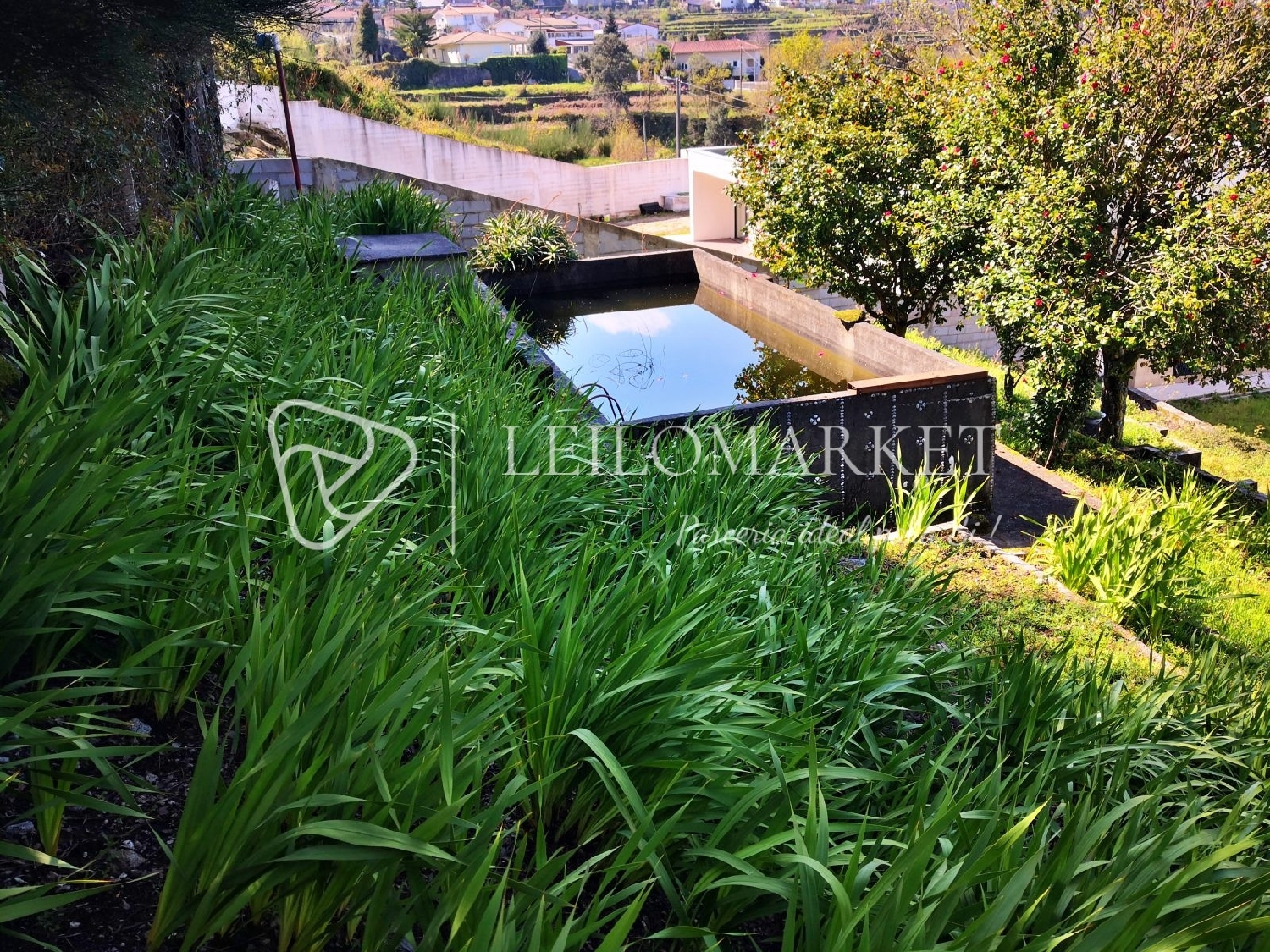  te koop huis Macieira de Cambra Vale De Cambra 7