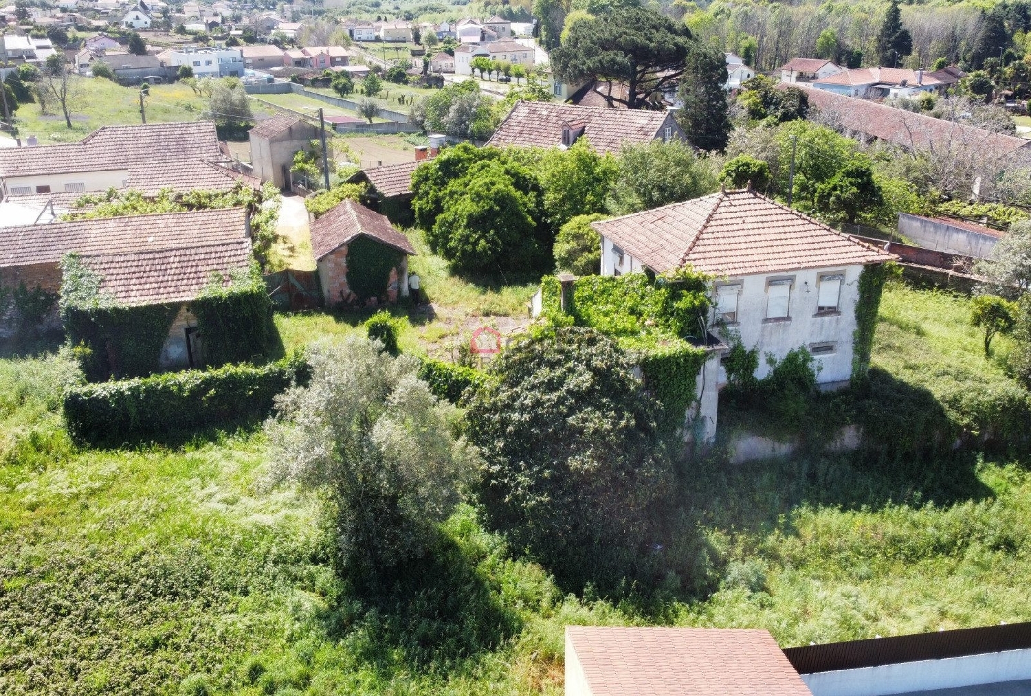  kaufen Haus Macinhata do Vouga Águeda 6