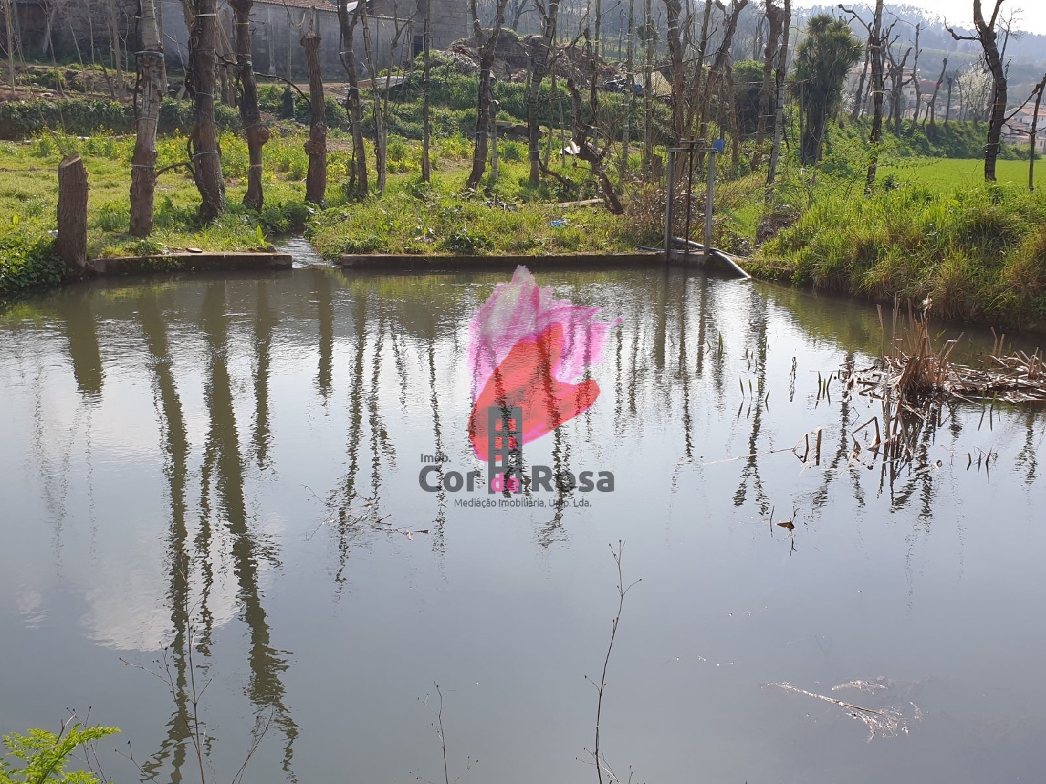  te koop huis Parada de Tibães Braga 8