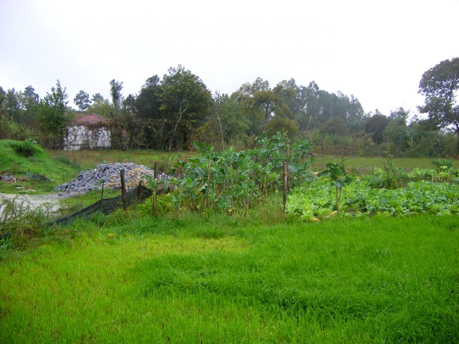 for sale house Quinchães Fafe 3