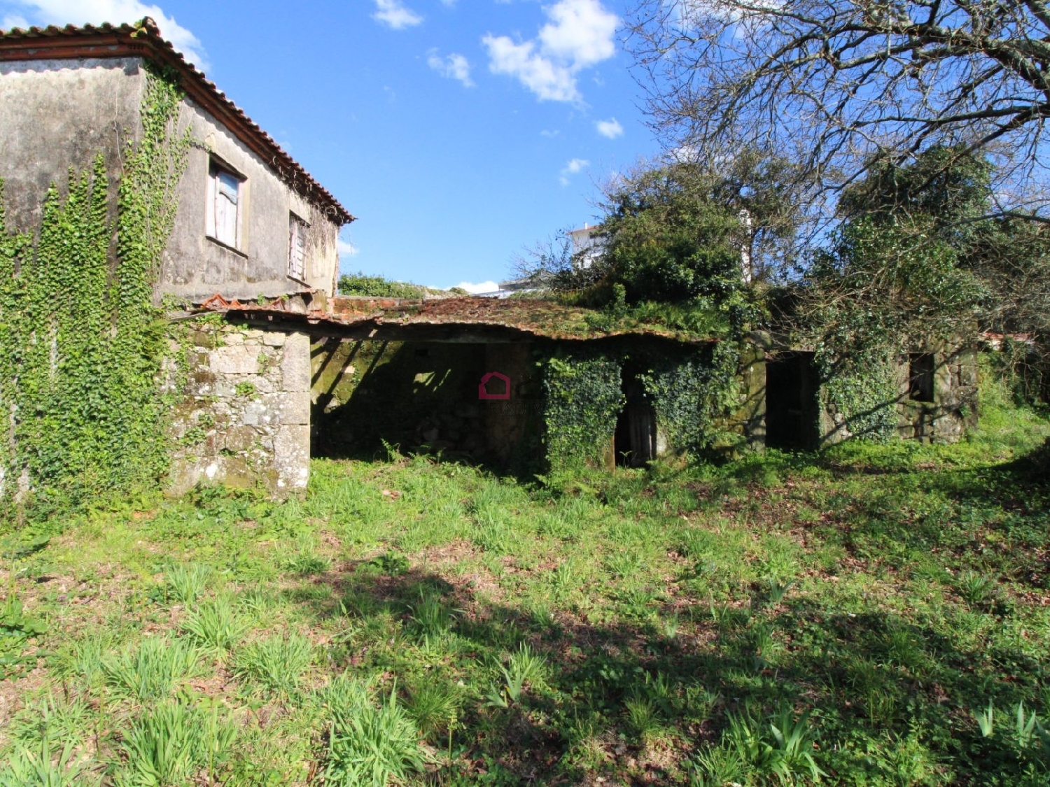  te koop huis Ribeira Castro Daire 5